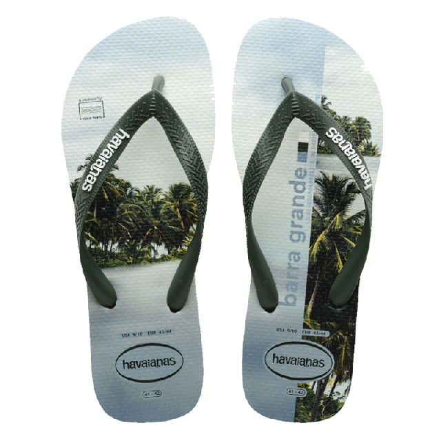 HAVAIANAS INFRADITO TOP SURFER 0117369