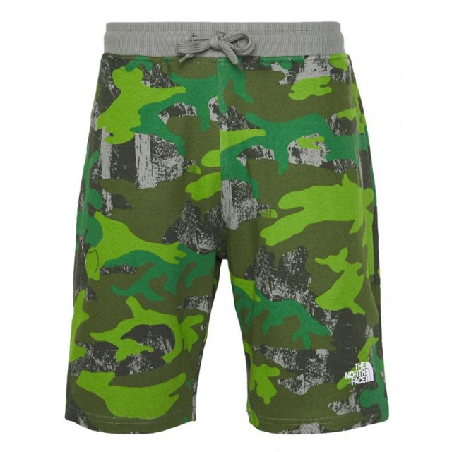 THE NORTH FACE GRAPHIC SHORT LIGHT NF0A3S4F52H1